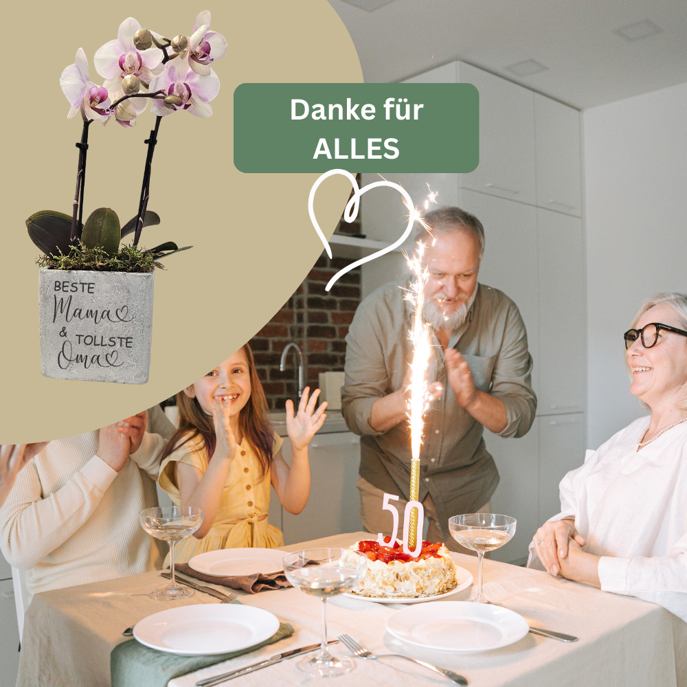 Geschenk zum Muttertag – Muttertagsgeschenk Blumentopf mit Gravur | Beste Mama Geschenk | Geschenk für Oma