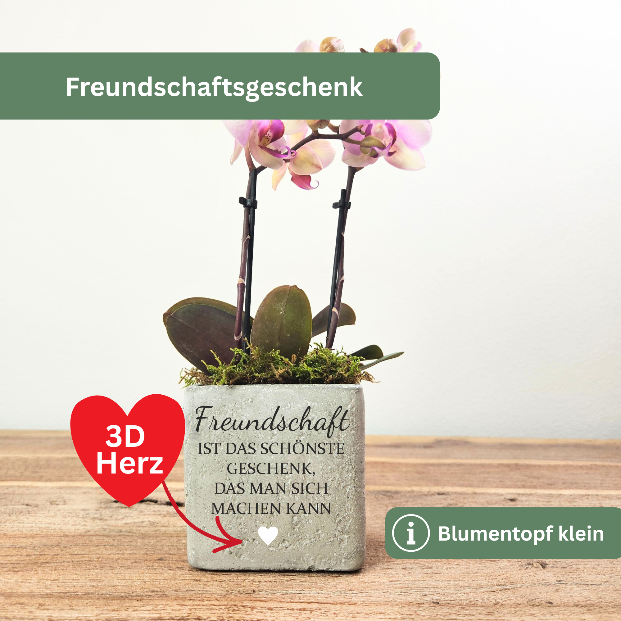 Modernes Freundschaftsgeschenk – grauer Blumentopf mit graviertem Spruch über Freundschaft