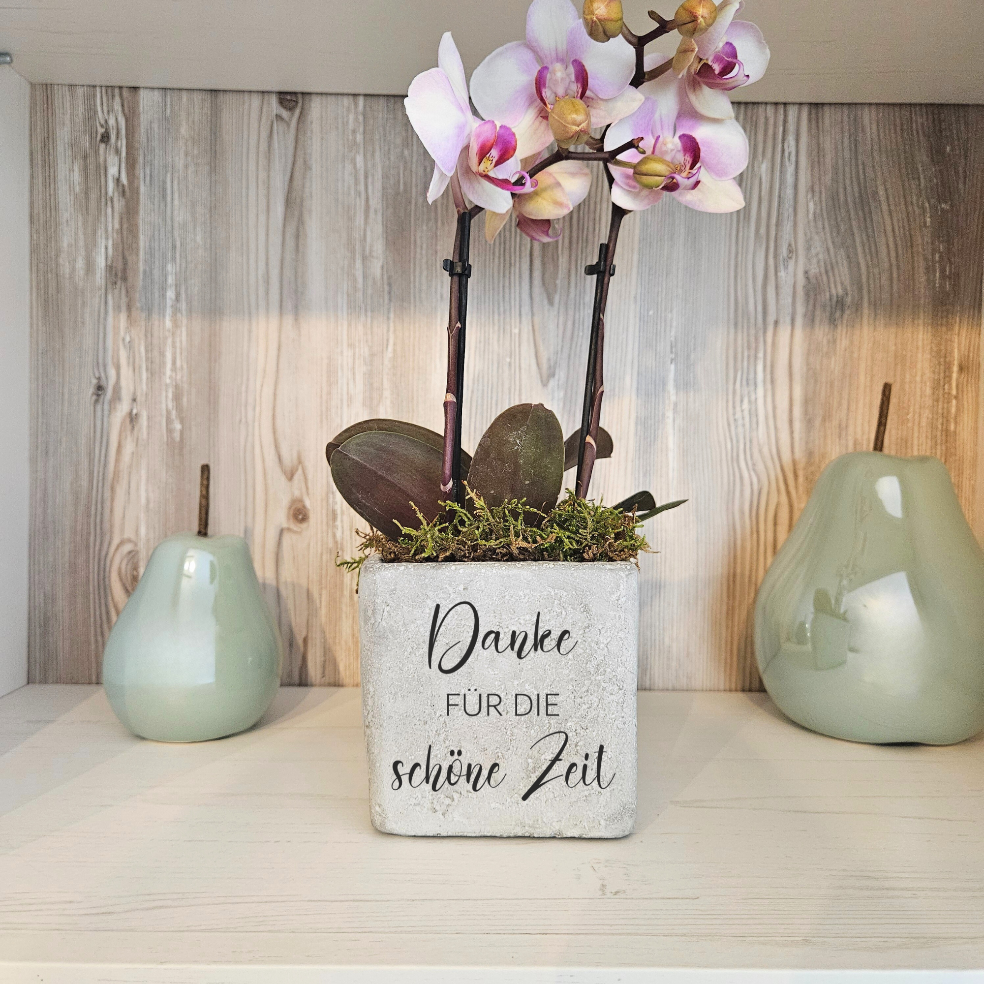 Danke für die schöne Zeit – Abschiedsgeschenk Kollegen & Arbeit – Dankeschön Geschenk – Blumentopf aus Beton