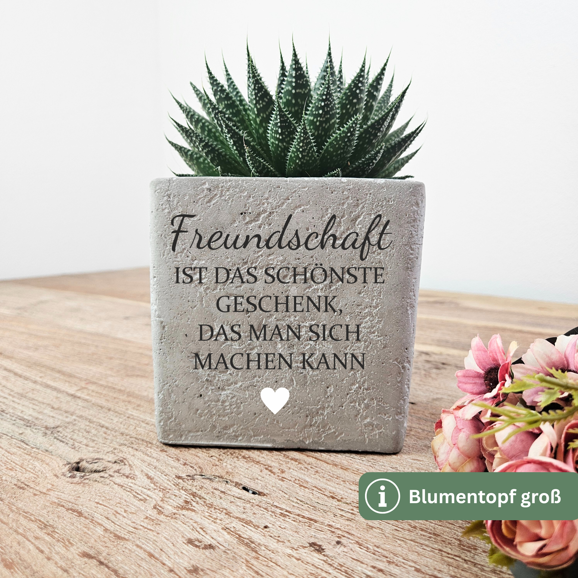 Freundschaftsgeschenk mit Herz – Blumentopf als kleine Aufmerksamkeit für die beste Freundin | 2 Größen