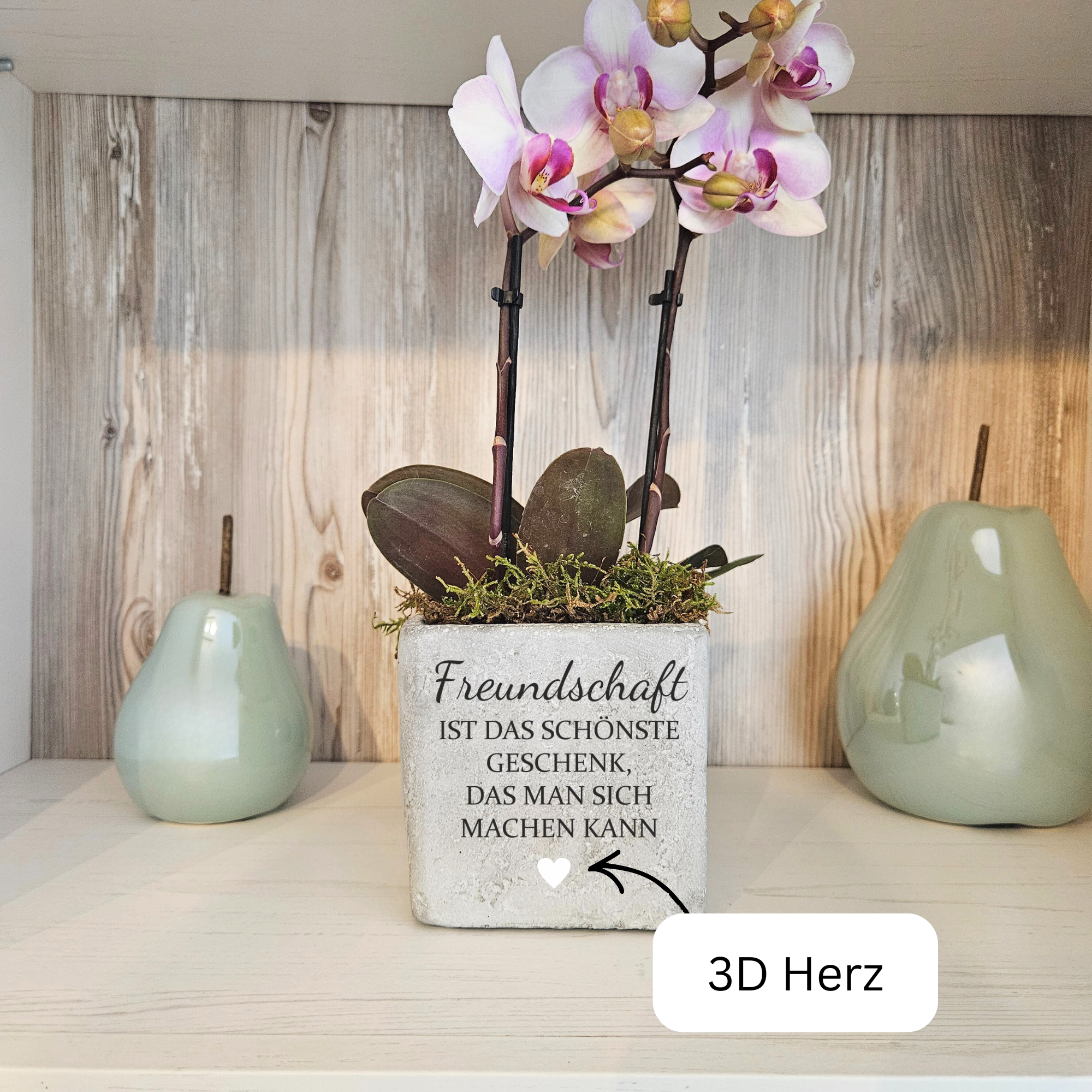 Freundschaftsgeschenk mit Herz – Blumentopf als kleine Aufmerksamkeit für die beste Freundin | 2 Größen
