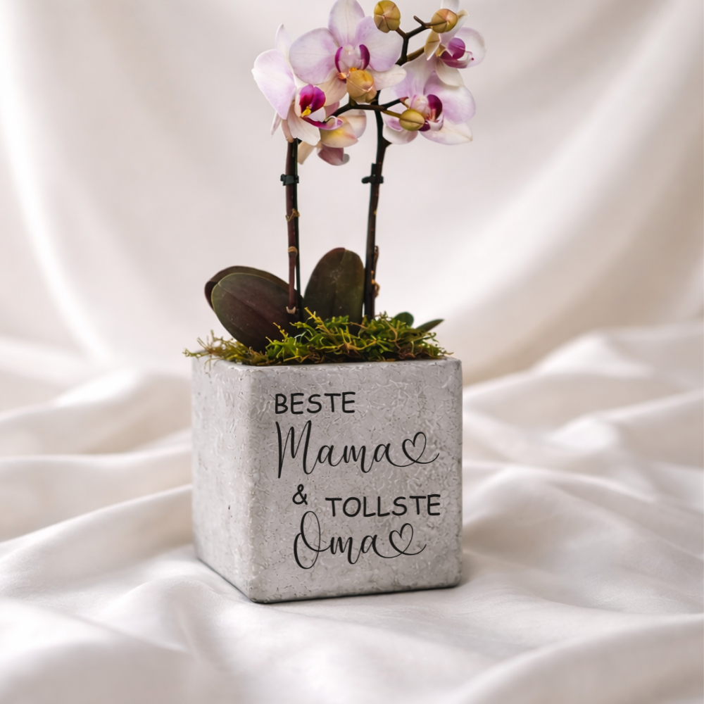 Blumentopf mit Gravur Beste Mama & tollste Oma als dekoratives Geschenk zum Muttertag für Mama oder Oma.