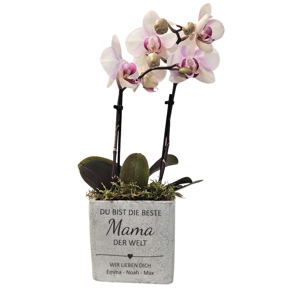 Personalisierter Blumentopf für Mama mit Gravur „Du bist die beste Mama der Welt“ und Kindernamen, ideales Muttertagsgeschenk mit Orchidee dekoriert