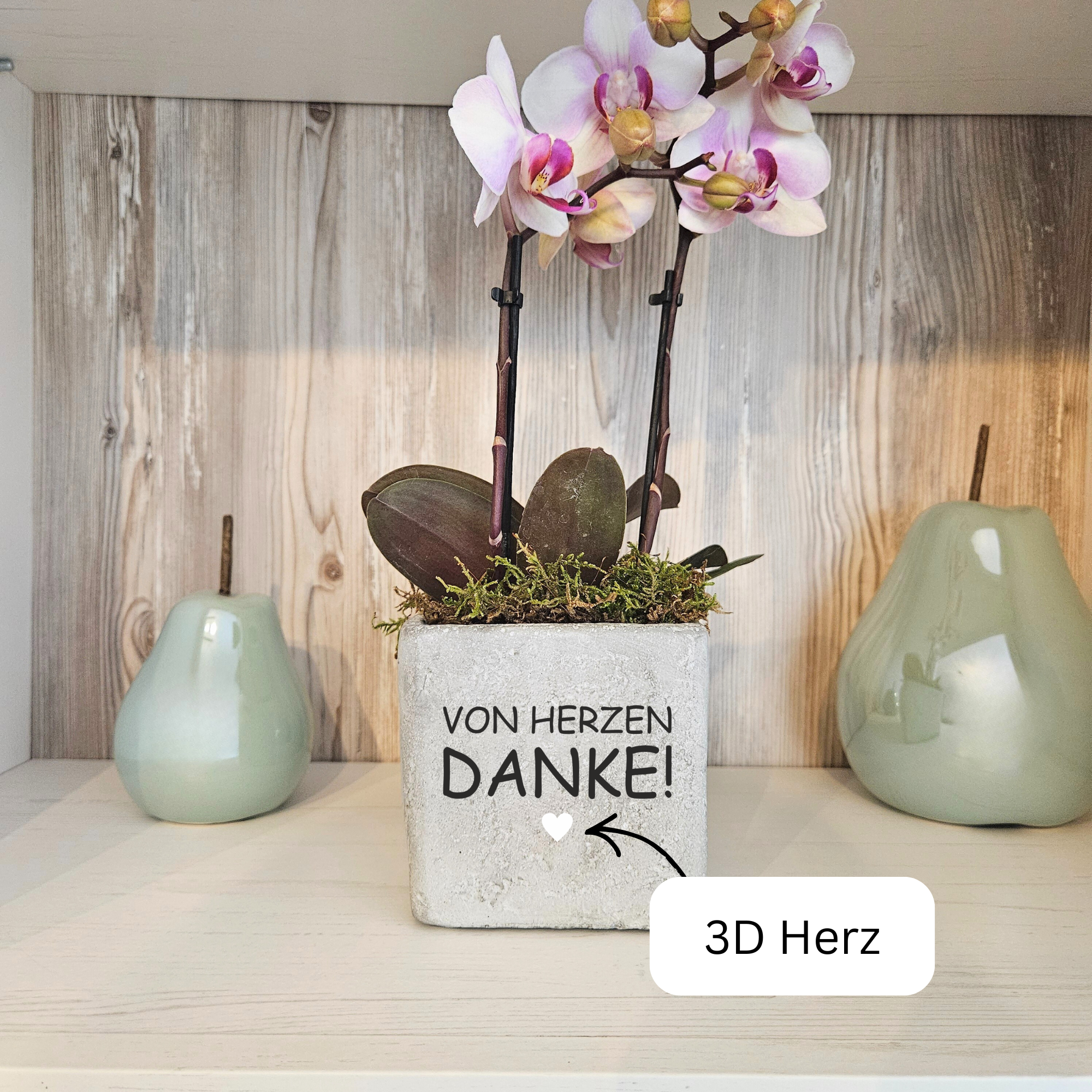 Dankeschön Geschenk „Von Herzen Danke“ – Kleines Dankeschön als liebevolle Aufmerksamkeit | Blumentopf in 2 Größen