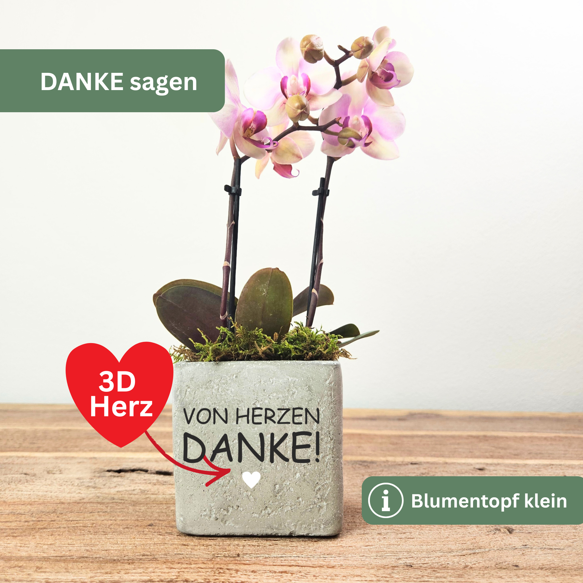 Dankeschön Geschenk „Von Herzen Danke“ – Kleines Dankeschön als liebevolle Aufmerksamkeit | Blumentopf in 2 Größen