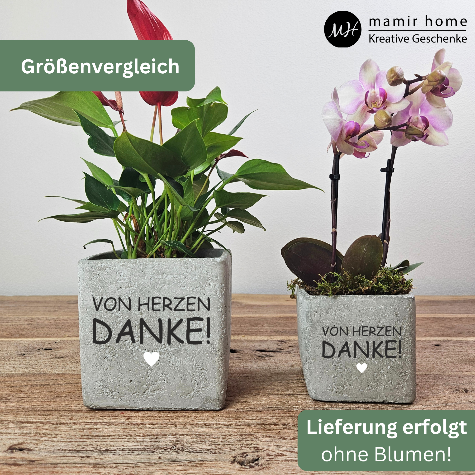Dankeschön Geschenk „Von Herzen Danke“ – Kleines Dankeschön als liebevolle Aufmerksamkeit | Blumentopf in 2 Größen