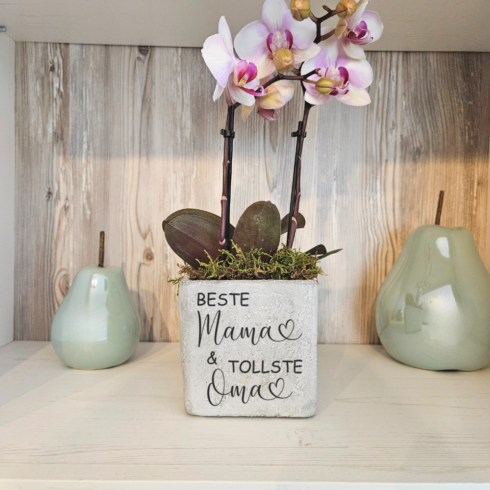 Gravierter Blumentopf als dekoratives Muttertagsgeschenk für Mama auf Regal im Wohnzimmer.