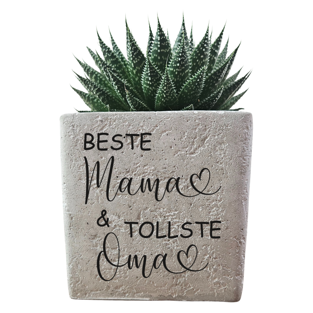 Blumentopf mit Gravur Beste Mama & tollste Oma bepflanzt mit Blumen als liebevolles Muttertagsgeschenk für Mama und Oma.