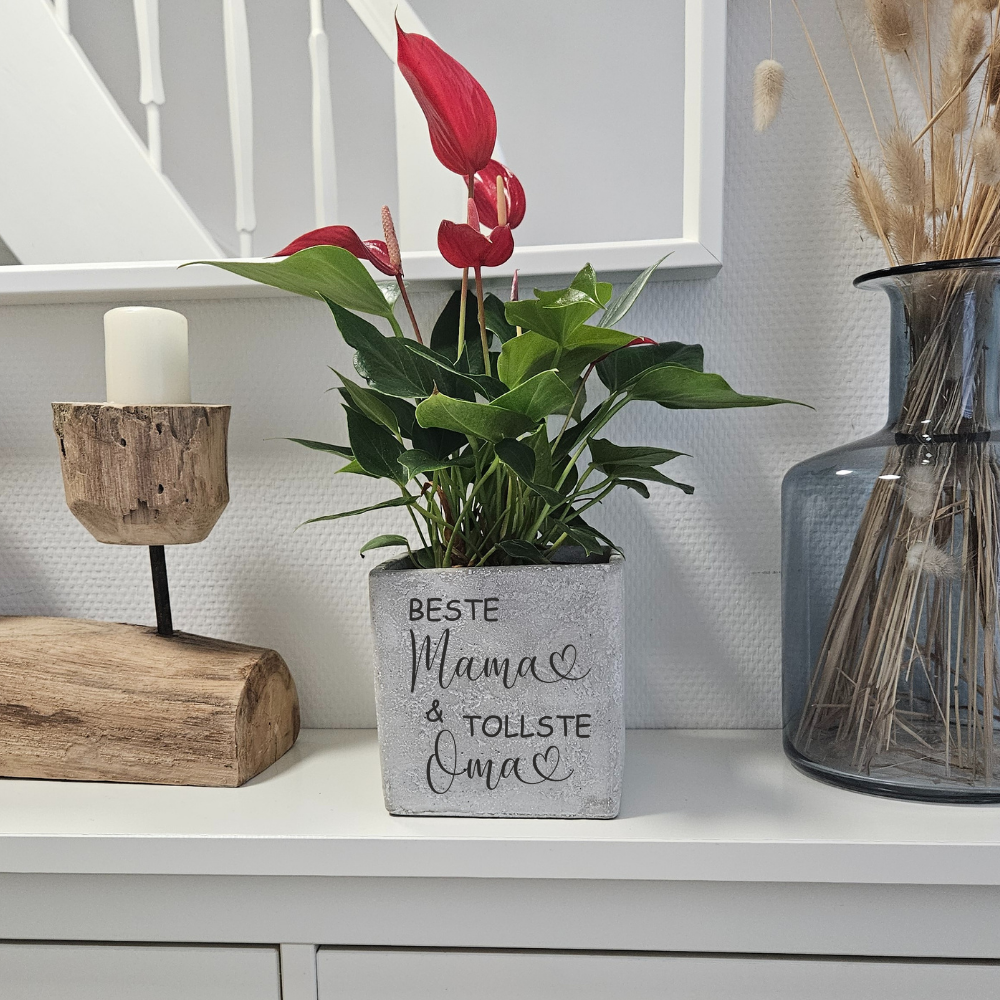 Gravierter Blumentopf mit Orchidee als Muttertagsgeschenk von Kindern oder Enkeln für Mama oder Oma.