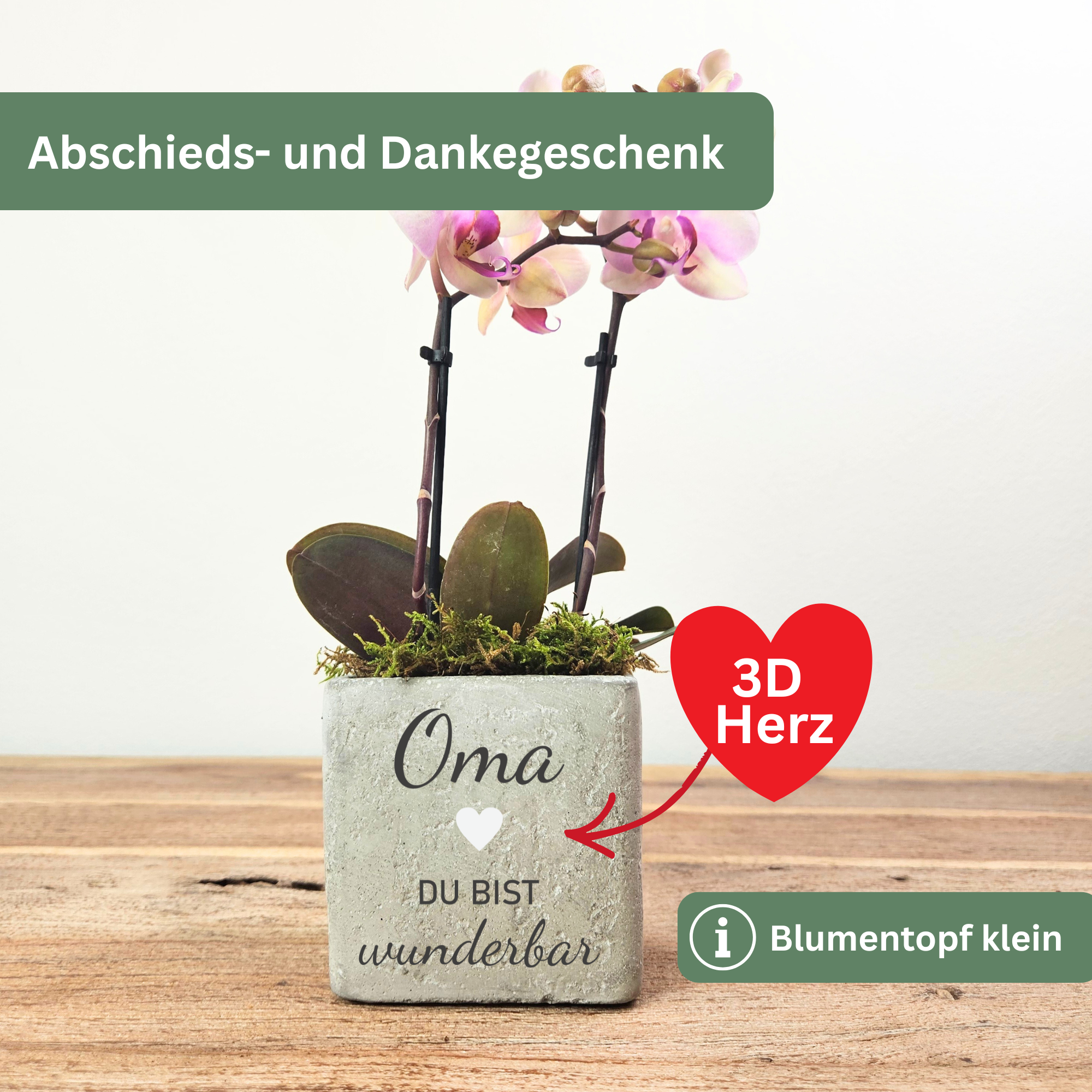 Personalisiertes Geschenk – Geburtstagsgeschenk Mama & Geburtstagsgeschenk Oma – Blumentopf „Du bist wunderbar“